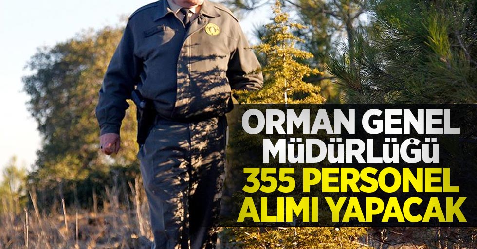 Orman Genel Müdürlüğü 355 personel alımı yapacak