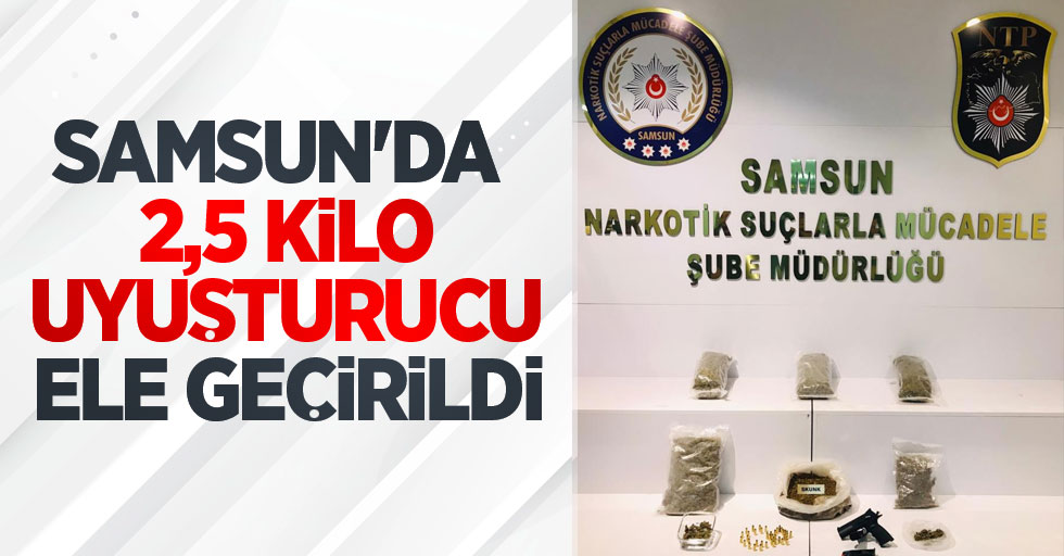 Samsun'da 2,5 kilo uyuşturucu ele geçirildi: 1 gözaltı