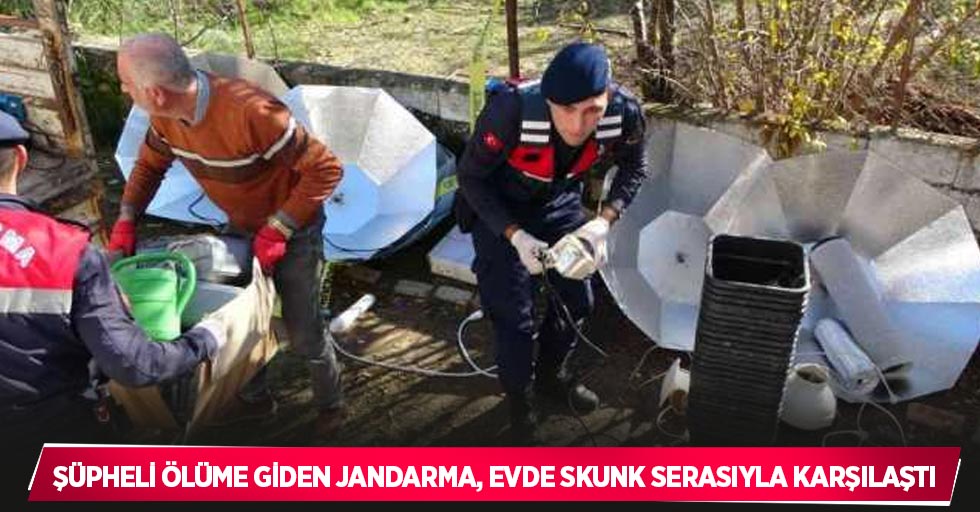 Şüpheli ölüme giden Jandarma, evde Skunk serasıyla karşılaştı