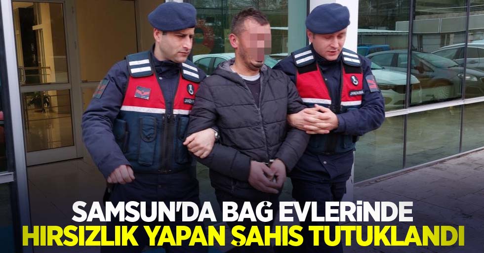 Samsun'da bağ evlerinden hırsızlık yapan şahıs tutuklandı