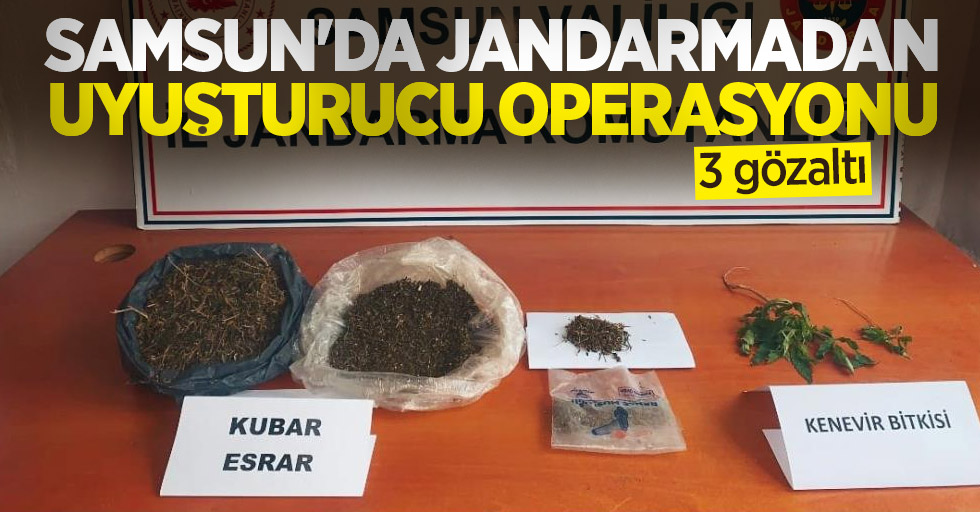 Samsun'da jandarmadan uyuşturucu operasyonu: 3 gözaltı