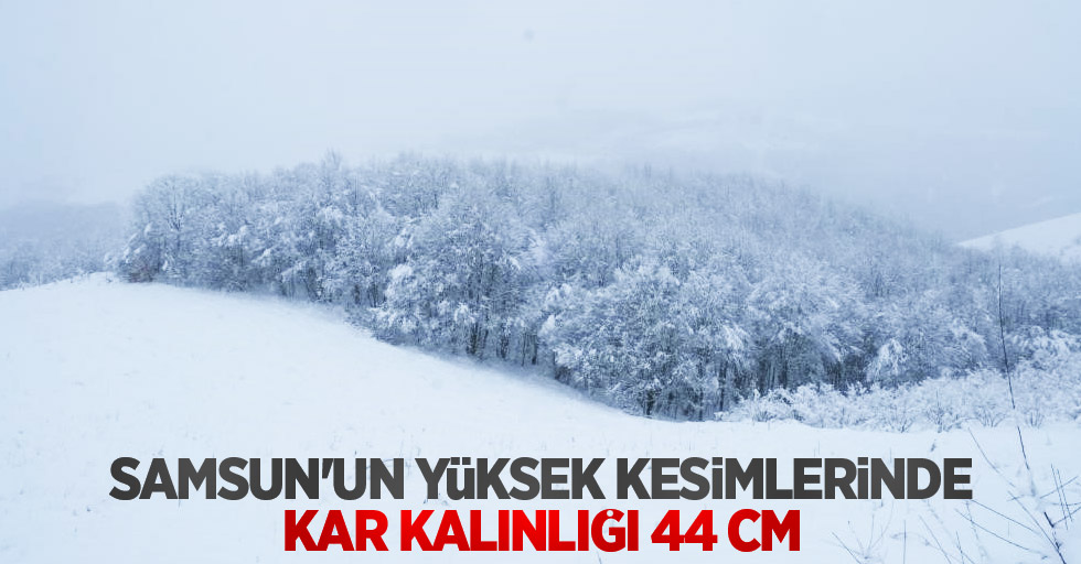 Samsun'un yüksek kesimlerinde kar kalınlığı 44 cm
