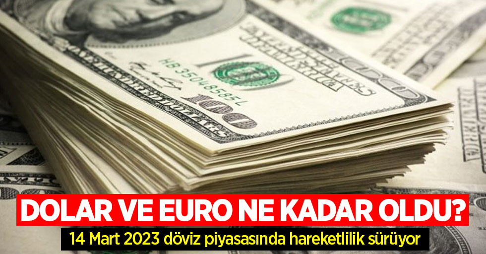 14 Mart Salı dolar ne kadar oldu, euro ne kadar? 14 Mart Salı 2023 dolar kaç TL, euro kaç TL?