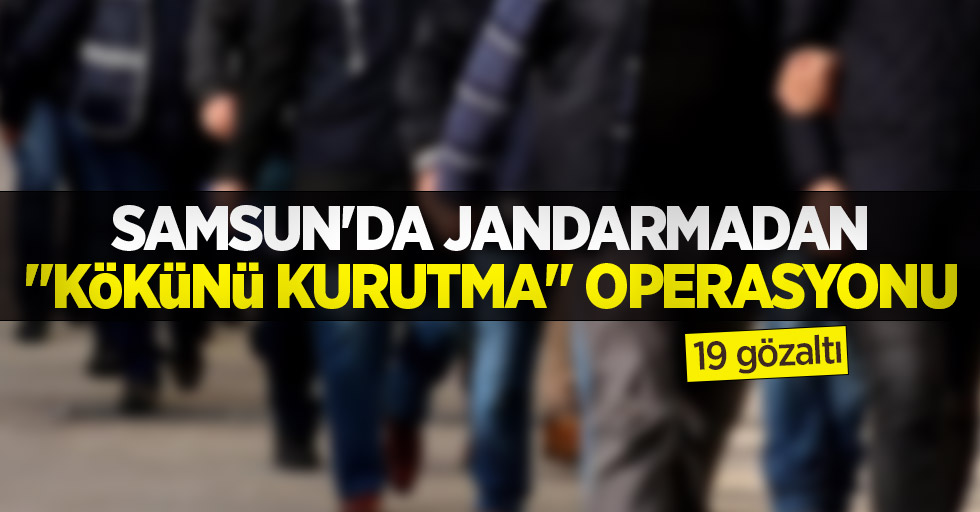 Samsun'da jandarmadan "Kökünü Kurutma" operasyonu: 19 gözaltı