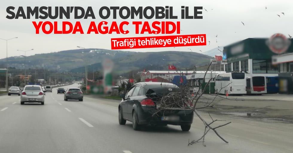 Samsun'da otomobil ile yolda ağaç taşıdı, trafiği tehlikeye düşürdü