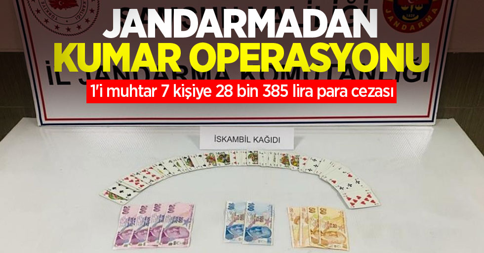 Jandarmadan kumar operasyonu: 1'i muhtar 7 kişiye 28 bin 385 lira para cezası
