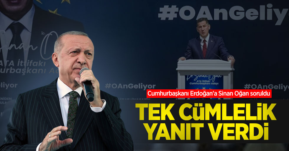 Cumhurbaşkanı Erdoğan'a Sinan Oğan soruldu, tek cümlelik yanıt verdi