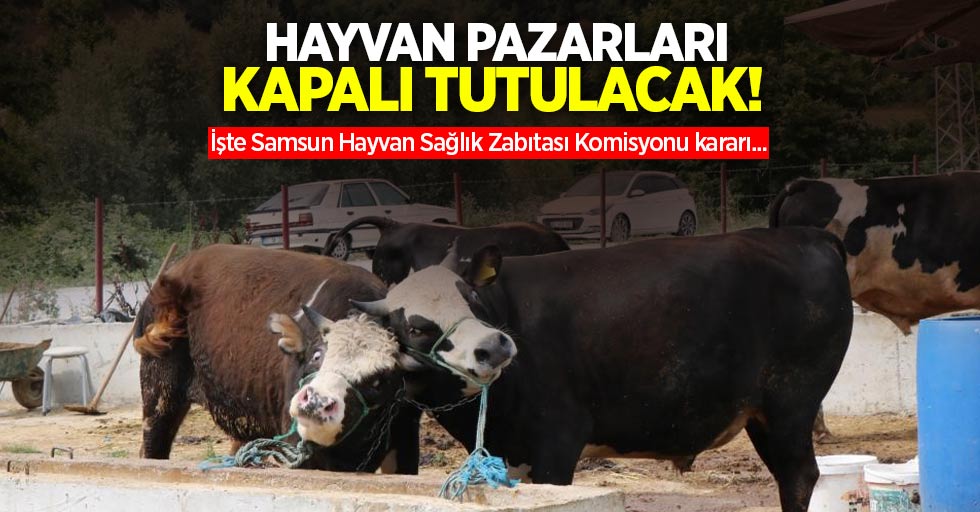 Hayvan pazarları kapalı tutulacak! İşte Samsun Hayvan Sağlık Zabıtası Komisyonu kararı...