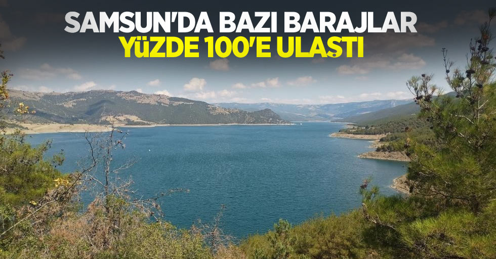 Samsun'da bazı barajlar yüzde 100'e ulaştı