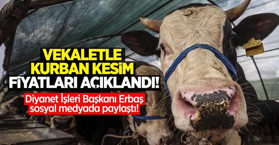 Vekaletle kurban kesim fiyatları açıklandı! Diyanet İşleri Başkanı Erbaş sosyal medyada paylaştı! 