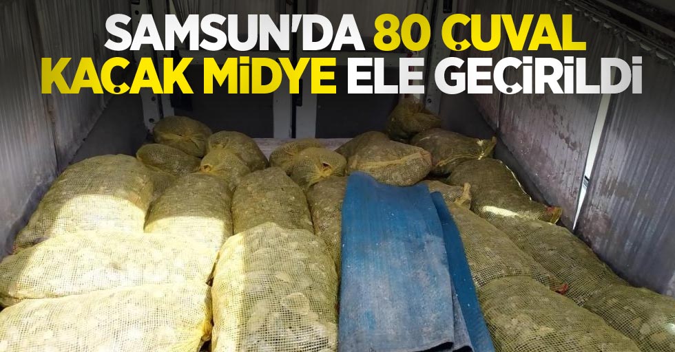 Samsun'da 80 çuval kaçak midye ele geçirildi