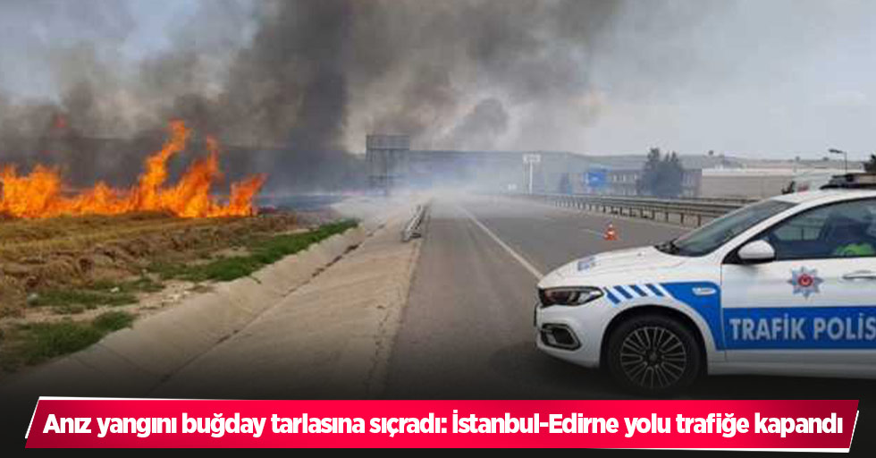 Anız yangını buğday tarlasına sıçradı: İstanbul-Edirne yolu trafiğe kapandı