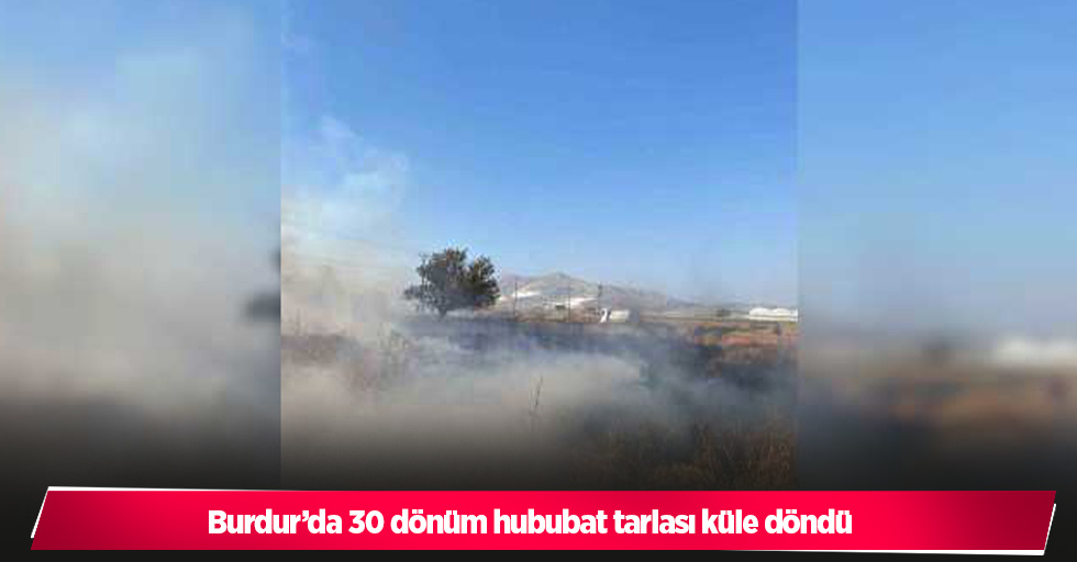 Burdur’da 30 dönüm hububat tarlası küle döndü
