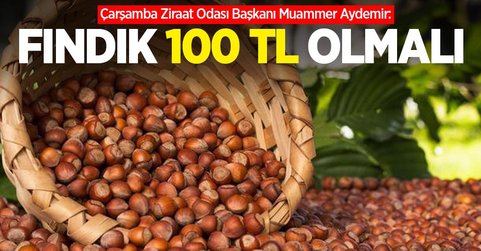 Çarşamba Ziraat Odası Başkanı Muammer Aydemir: Fındık 100 TL olmalı