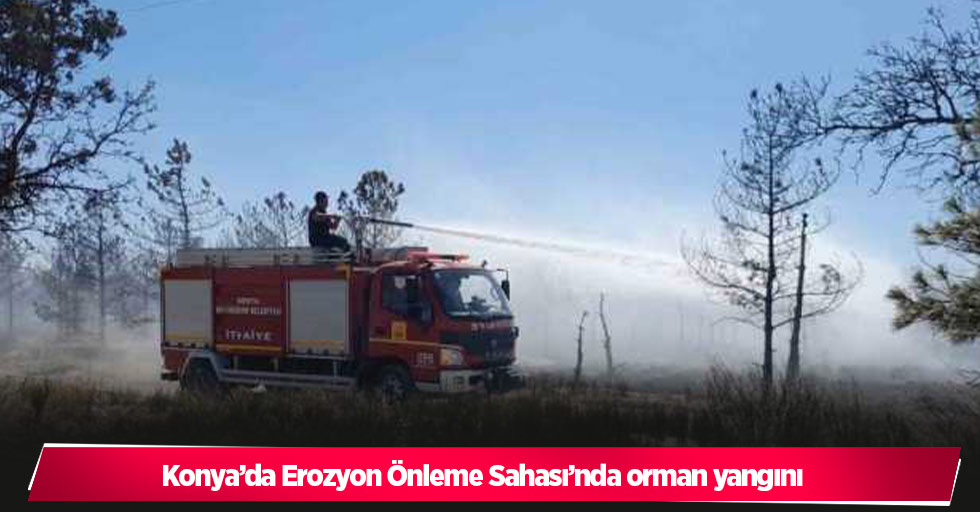 Konya’da Erozyon Önleme Sahası’nda orman yangını