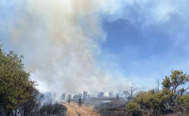 Manisa’da makilik alanda yangın