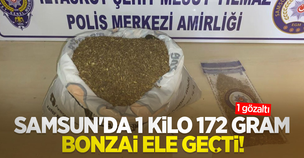 Samsun'da 1 kilo 172 gram bonzai ele geçti: 1 gözaltı