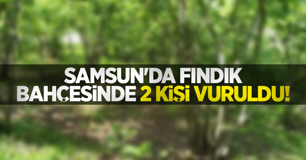 Samsun'da fındık bahçesinde 2 kişi vuruldu