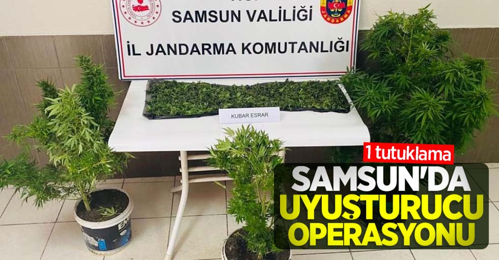 Samsun’da uyuşturucu operasyonu: 1 tutuklama