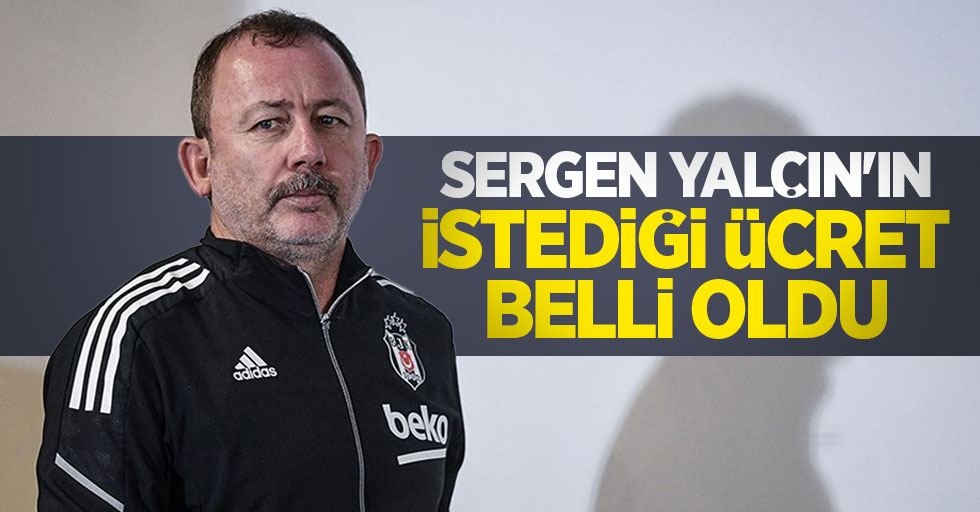 Samsunspor'da teknik direktör arayışları devam ediyor... Sergen Yalçın'ın istediği ücret  belli oldu 