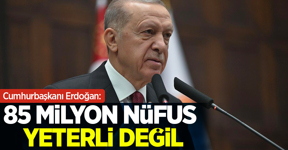 Cumhurbaşkanı Erdoğan: 85 milyon yeterli değil