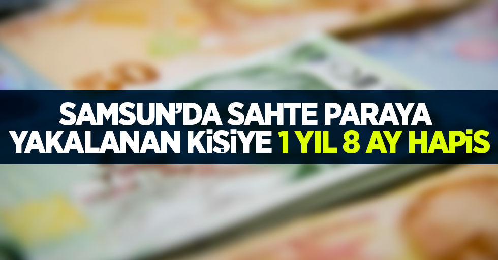 Samsun'da sahte paraya yakalanan kişiye 1 yıl 8 ay hapis