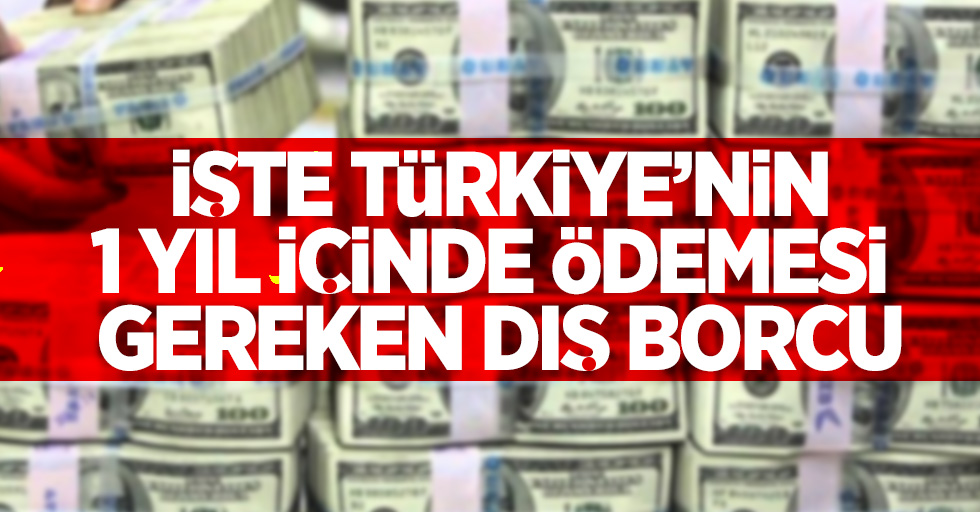İşte Türkiye'nin 1 yıl içinde ödemesi gereken dış borcu