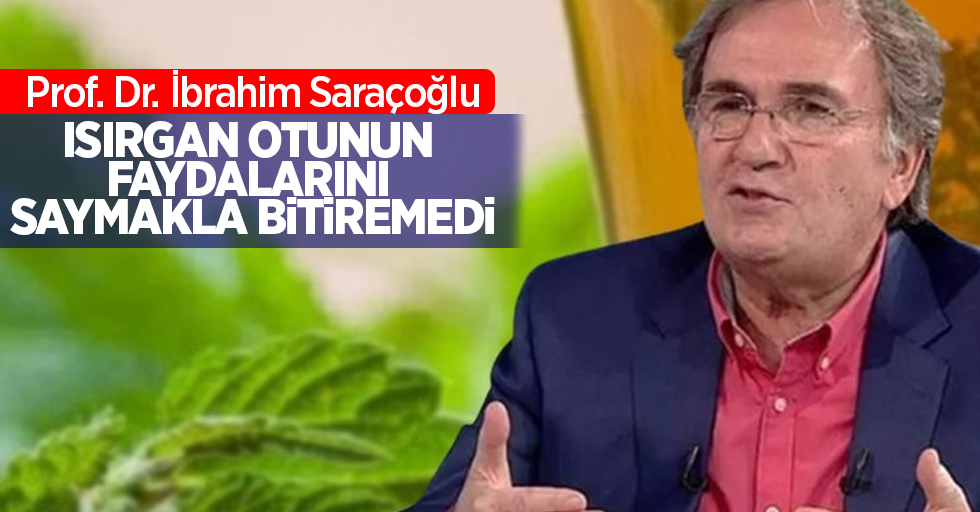 Prof. Dr.İbrahim Saraçoğlu Isırgan otunun faydalarını saymakla bitiremedi