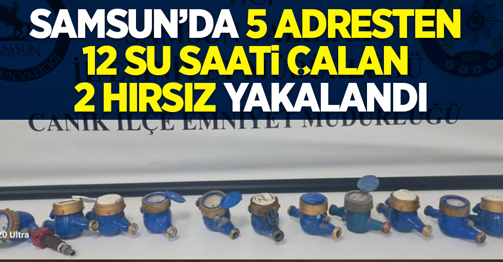 Samsun'da 5 adresten 12 su saati çalan 2 hırsız yakalandı