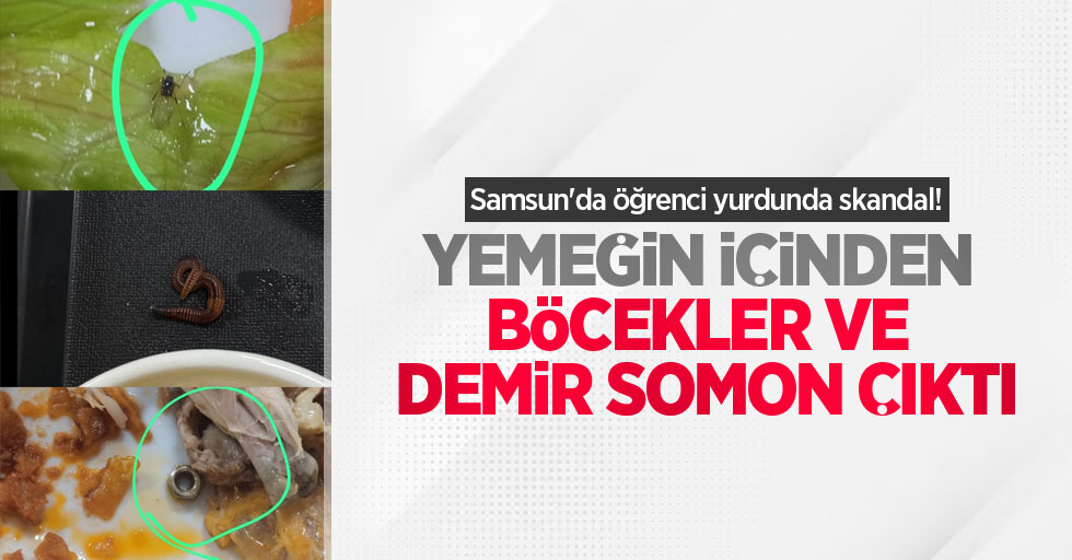 Samsun'da öğrenci yurdunda skandal! Yemeğin içinden böcekler, demir somon çıktı