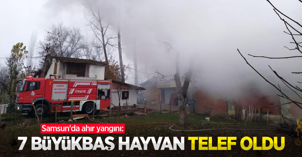 Samsun'da ahır yangını: 7 büyükbaş hayvan telef oldu