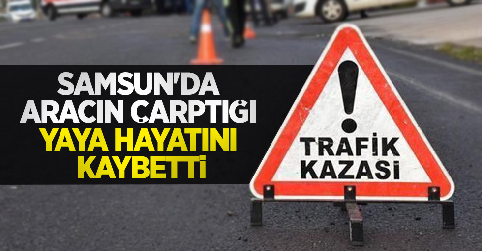 Samsun'da aracın çarptığı yaya hayatını kaybetti