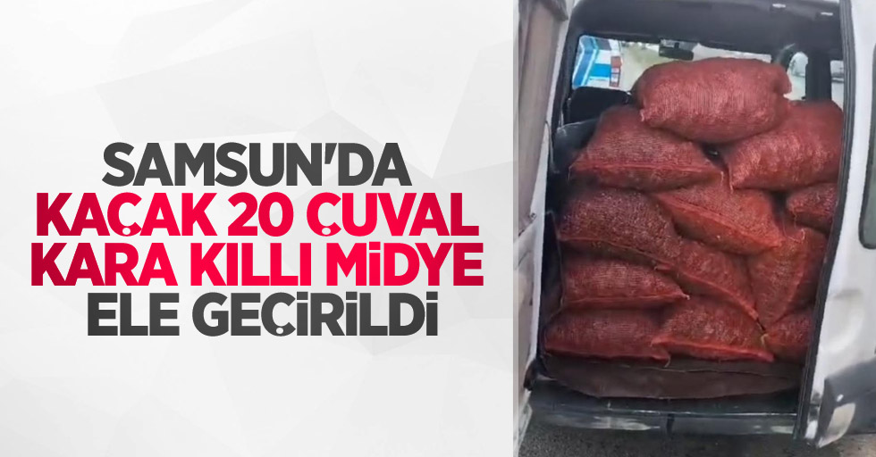 Samsun'da kaçak 20 çuval kara kıllı midye ele geçirildi