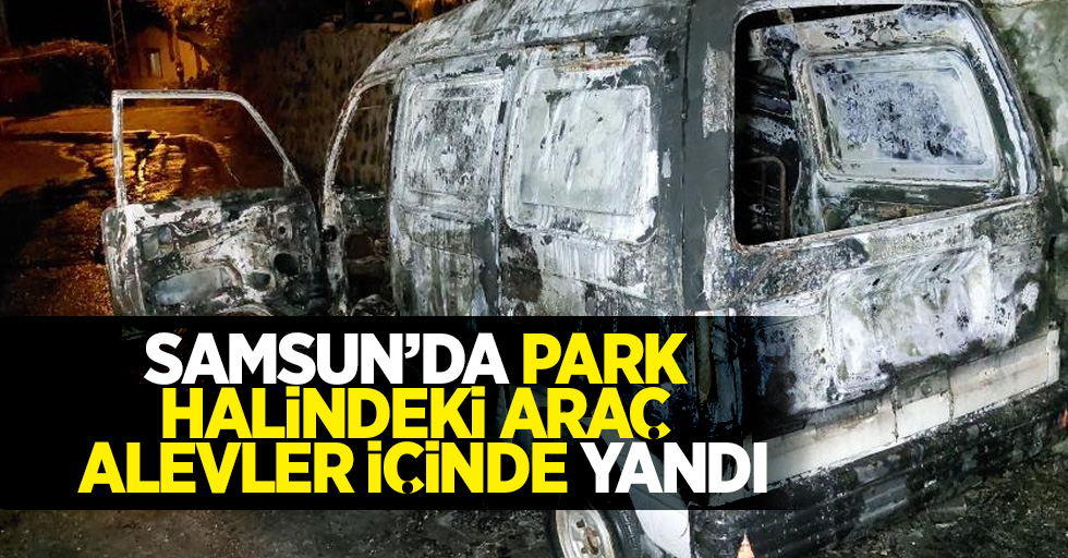 Samsun'da park halindeki araç alevler içinde yandı