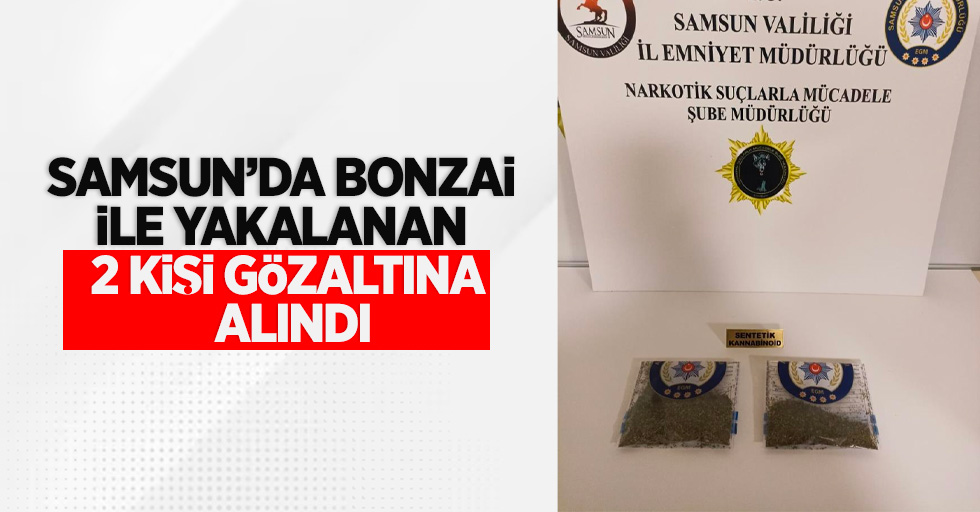 Samsun'da bonzai ile yakalanan 2 kişi gözaltına alındı