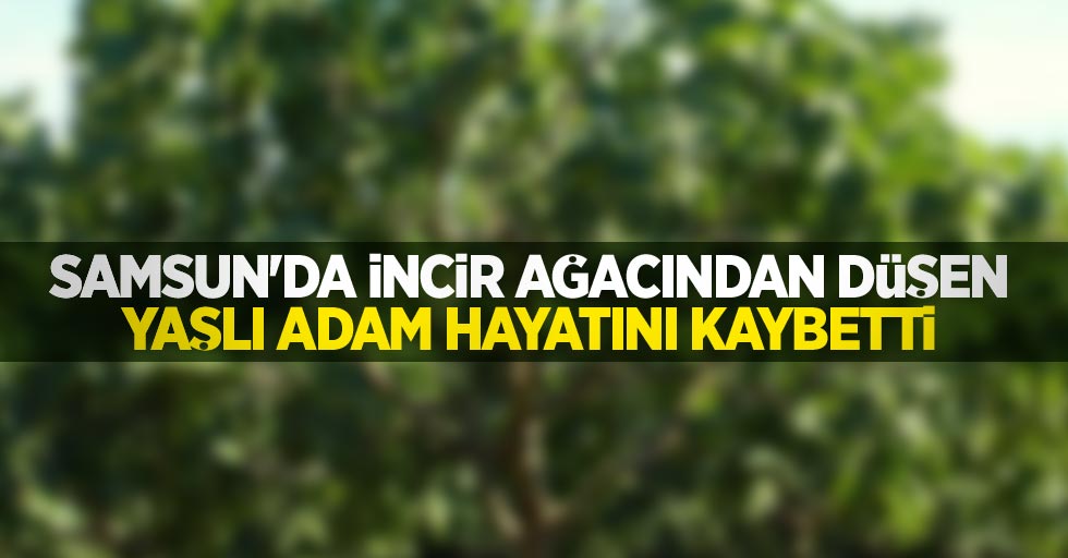 Samsun'da incir ağacından düşen yaşlı adam hayatını kaybetti