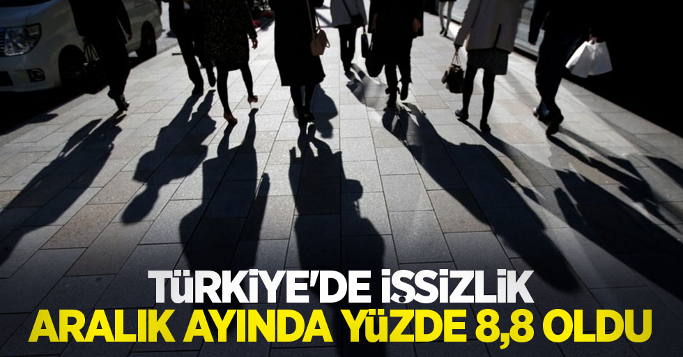 Türkiye'de işsizlik aralık ayında yüzde 8,8 oldu