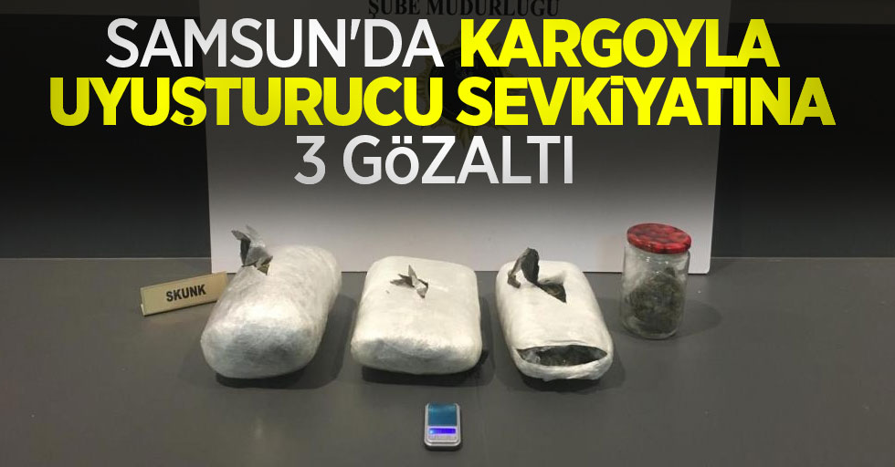 Samsun'da kargo yoluyla uyuşturucu sevkiyatına 3 gözaltı