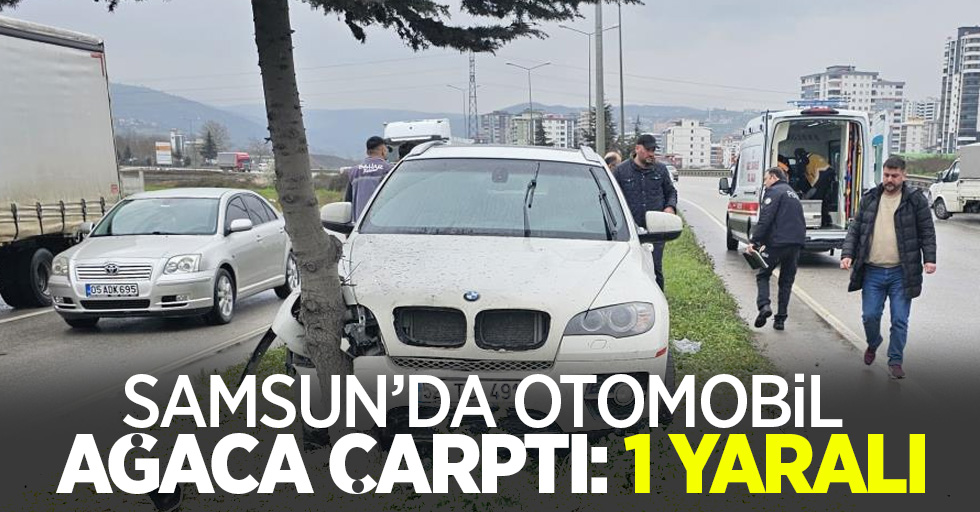 Samsun'da otomobil ağaca çarptı:1 yaralı