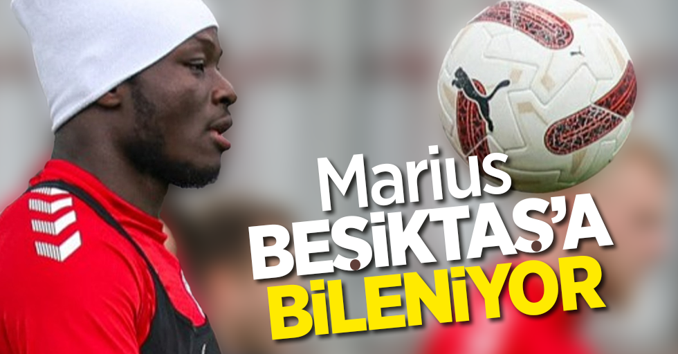Marius  Beşiktaş'a bileniyor