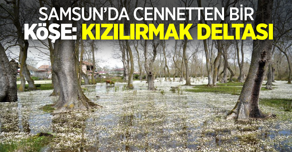 Samsun'da cennetten bir köşe: Kızılırmak Deltası