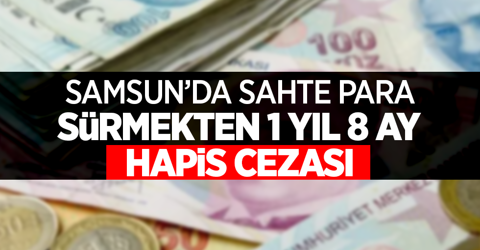Samsun'da sahte para sürmekten 1 yıl 8 ay hapis cezası