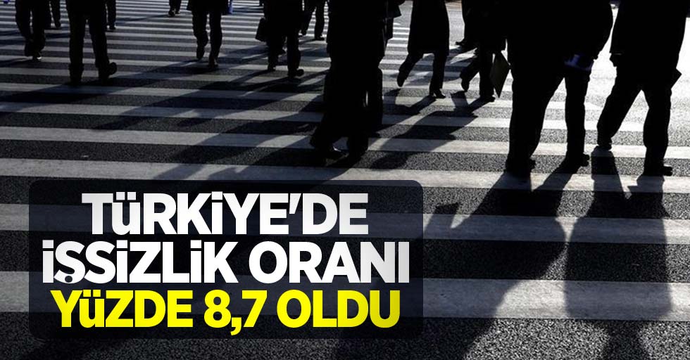 Türkiye'de işsizlik oranı yüzde 8,7 oldu