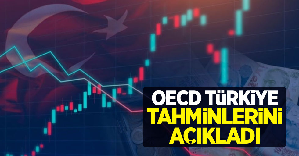 OECD Türkiye tahminlerini açıkladı