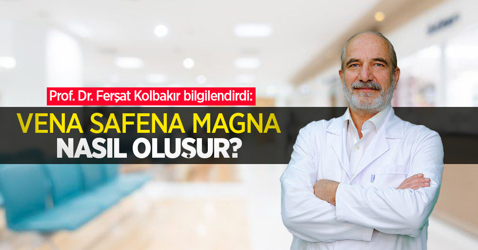 Prof. Dr. Ferşat Kolbakır bilgilendirdi: Vena safena magna nasıl oluşur?