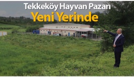 Tekkeköy Hayvan Pazarı, İlçe Merkezi Dışını Alınıyor