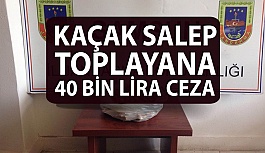 Kaçak Salep Bitkisi Toplayıcısına 40 Bin Lira Ceza
