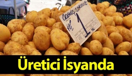 Patates Fiyatları Dibe Vurdu, Üretici İsyanda