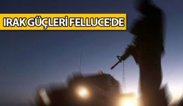 Irak Güçleri Felluce'de