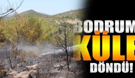 Bodrum’da orman yangını!